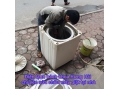 Sửa máy giặt tại Hà Nội nhà phục vụ 24/24